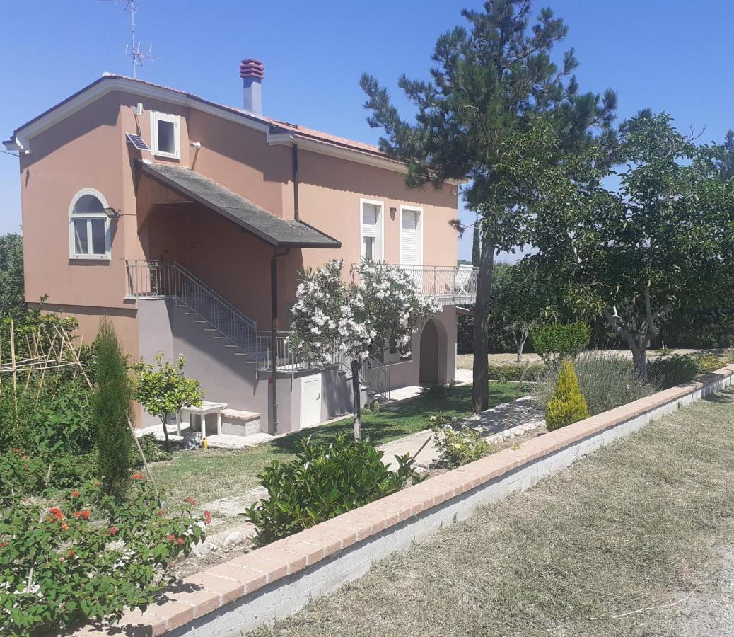 Villa Nonno Nicola 蒙泰内罗迪比萨恰 外观 照片