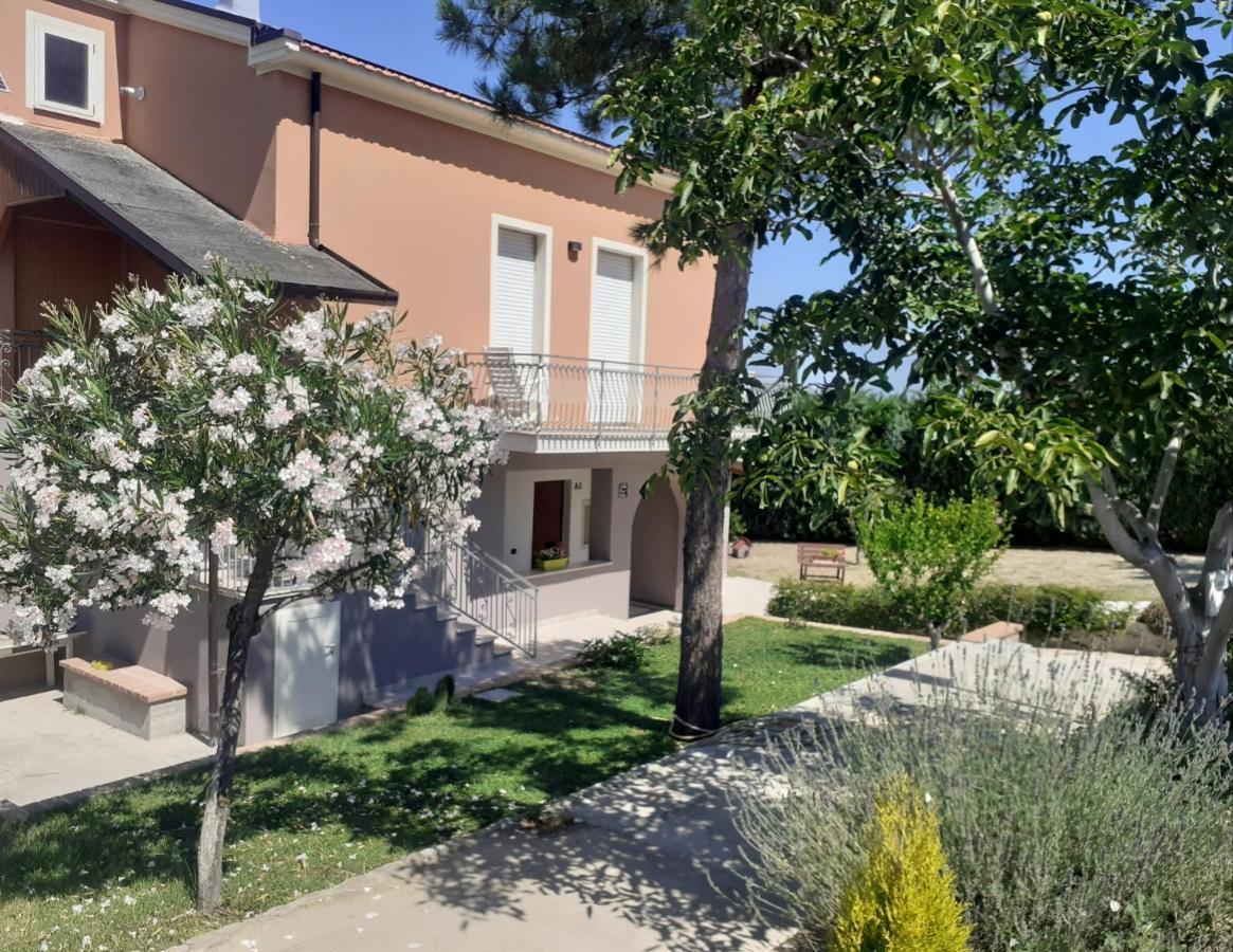 Villa Nonno Nicola 蒙泰内罗迪比萨恰 外观 照片