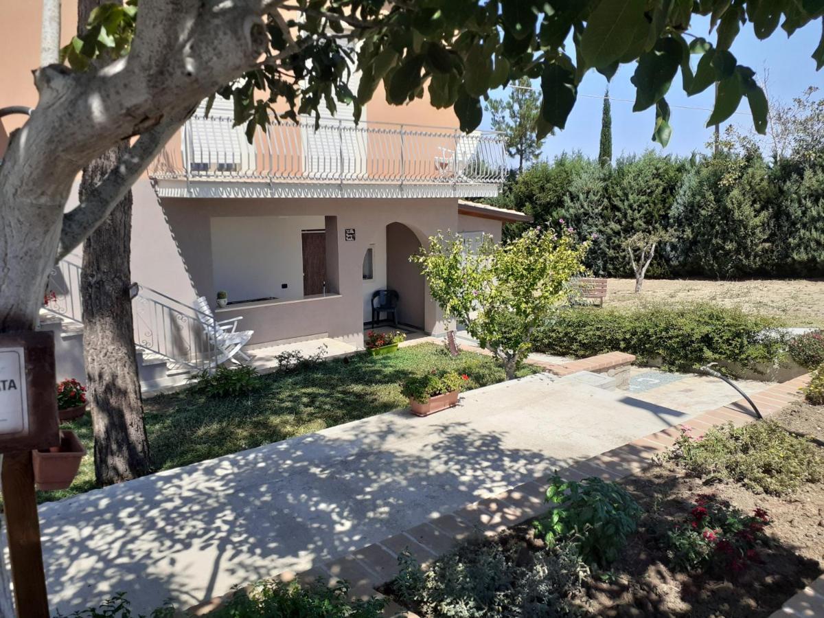 Villa Nonno Nicola 蒙泰内罗迪比萨恰 外观 照片