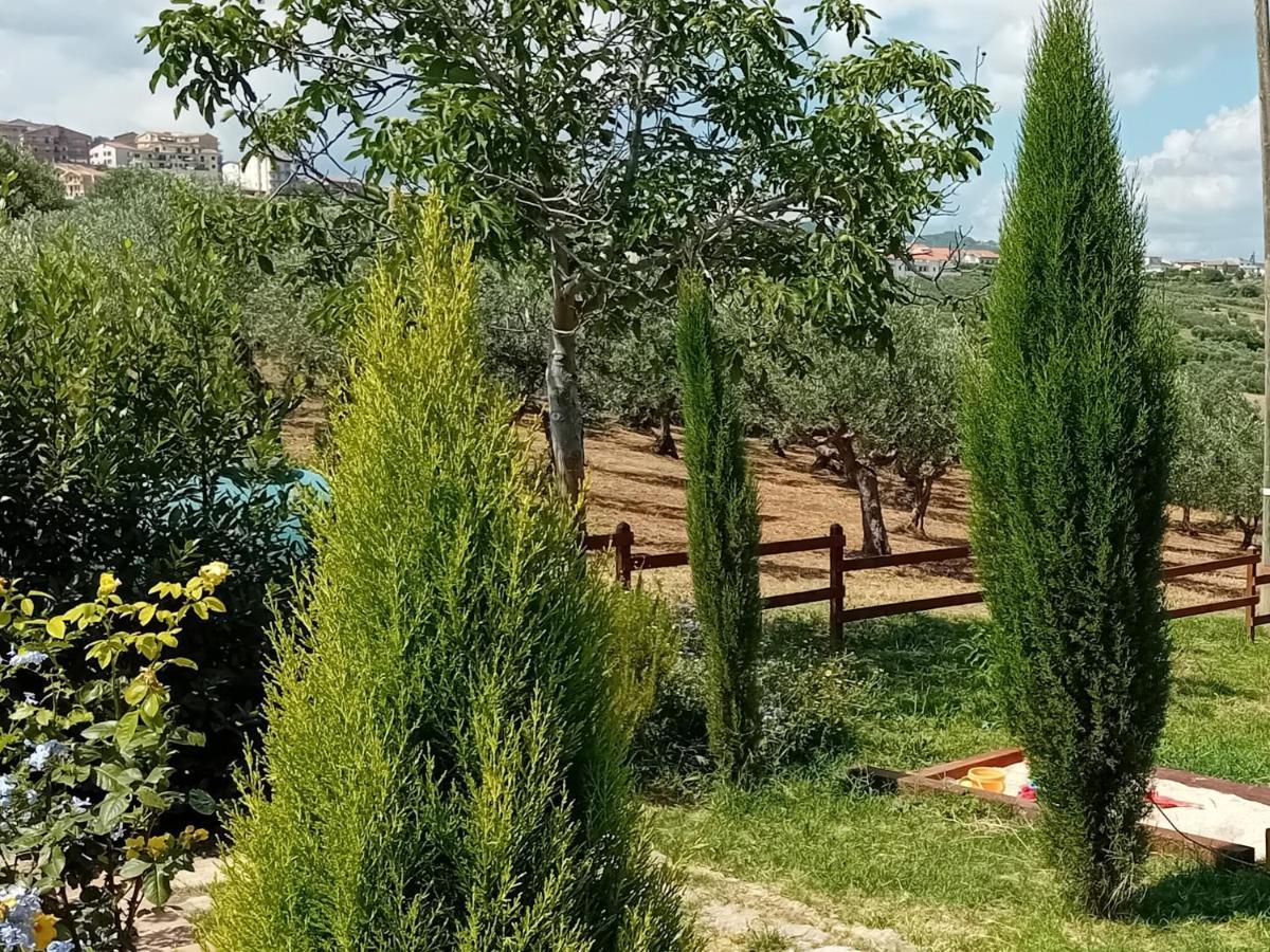 Villa Nonno Nicola 蒙泰内罗迪比萨恰 外观 照片